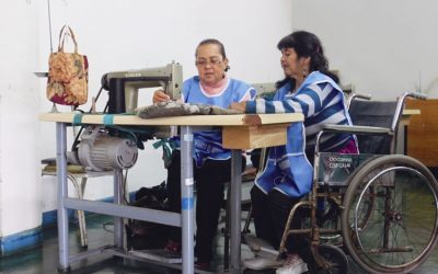 ¿Realmente existe inclusión laboral en el Perú?