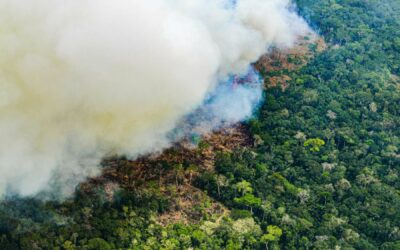 Perú, país megadiverso en riesgo