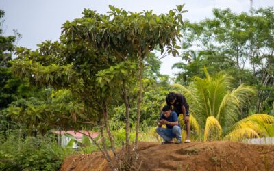 Innovación social desde los jóvenes indígenas