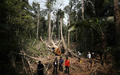 El avance de las economías ilegales en la Amazonía ante la ausencia del Estado