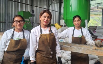 Yax Transforma: la revolución verde desde Jacaltenango
