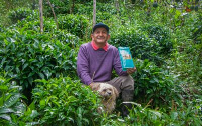 Comunicación consciente: del sobreconsumo a las marcas con propósito sostenible