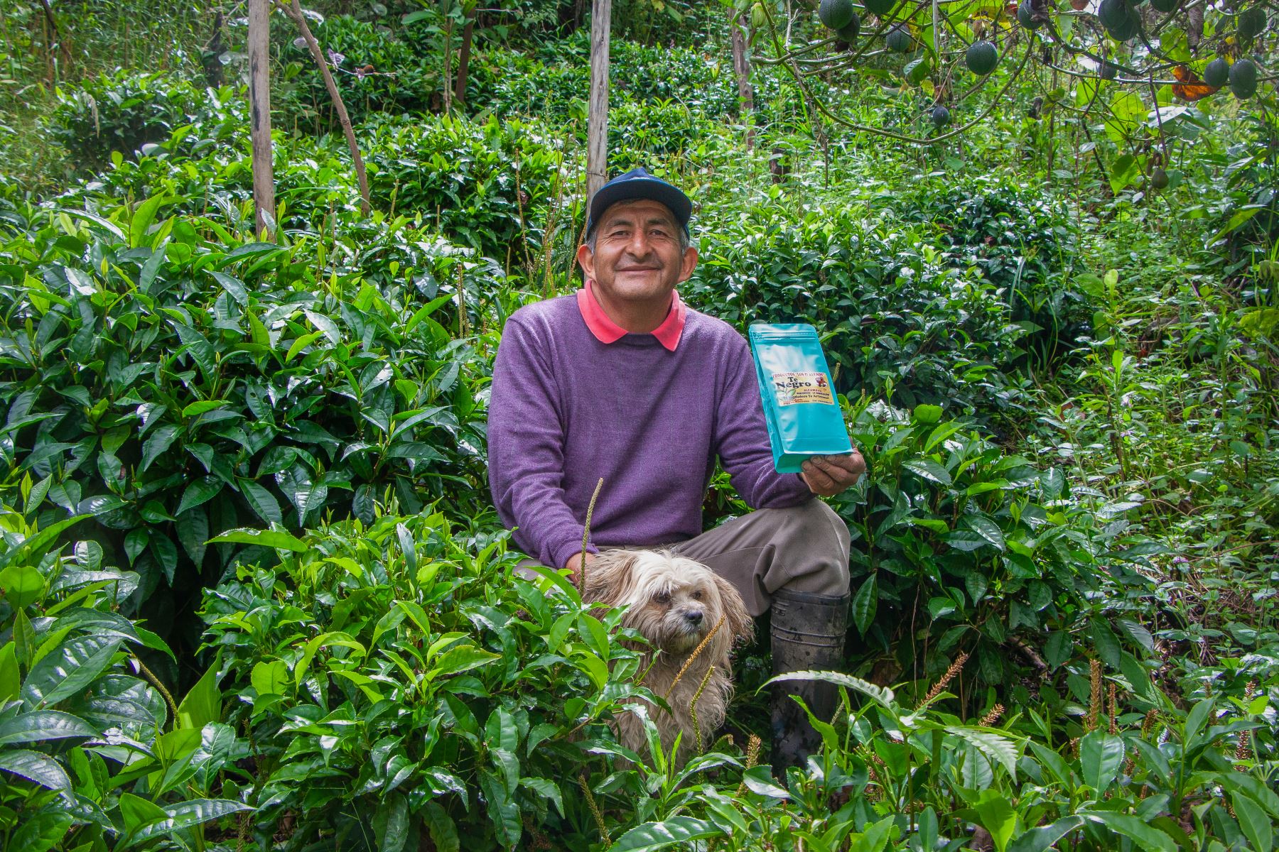 comunicacion-consciente