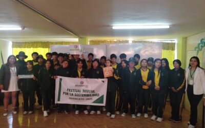 Voluntariado en Liderazgo Sostenible: transformando ideas en acción