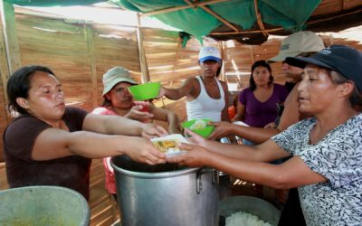 Innovar sin olvidar: reinventando la sostenibilidad desde el territorio